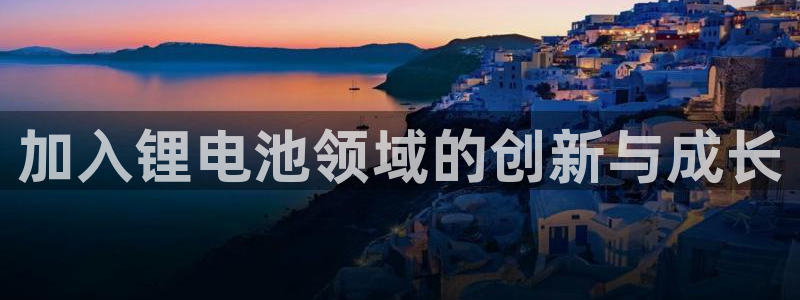 gopay及okpay钱包