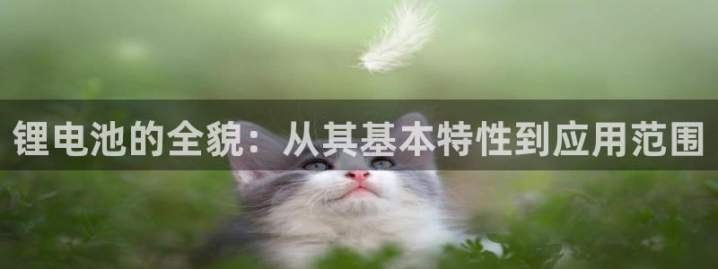 okpay钱包在中国合法吗
