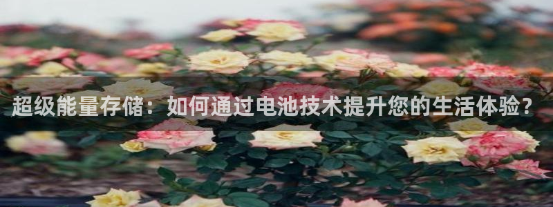 okpay钱包安卓下载