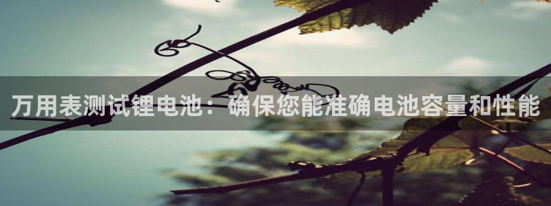 okpay钱包好用吗