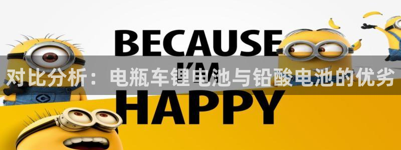 okpay钱包苹果版：对比分析：电瓶车锂电池与铅酸电池的优劣