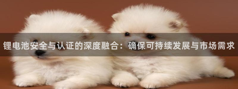 okpay是什么钱包