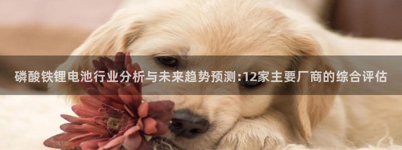 okpay钱包怎么提现到微信：磷酸铁锂电池行业分析与未来趋势预测:12家主要厂商的综合评估