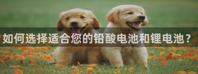 okpay钱包地址怎么查询