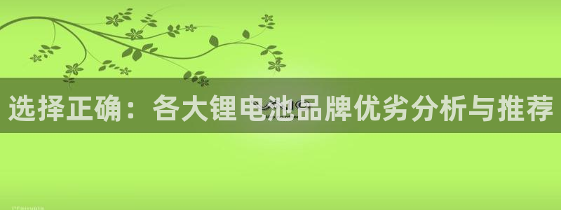 okpay钱包链接：选择正确：各大锂电池品牌优劣分析与推荐
