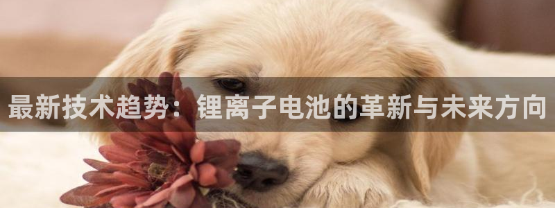 okpay虚拟币钱包下载：最新技术趋势：锂离子电池的革新与未来方向