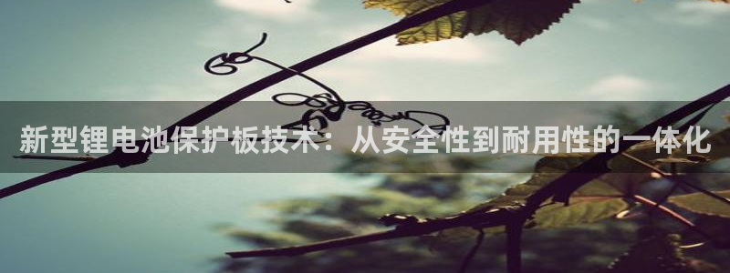 okpay钱包充值