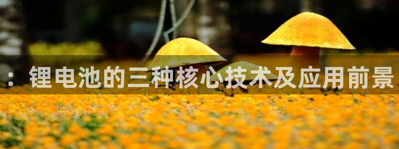 下载okpay钱包：：锂电池的三种核心技术及应用前景
