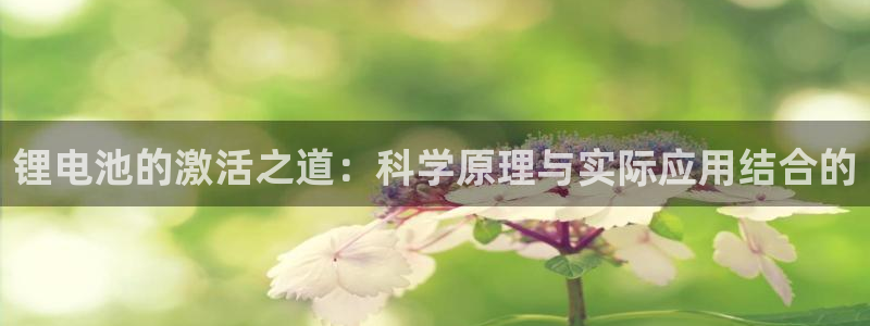 okpay钱包最新版本：锂电池的激活之道：科学原理与实际应用结合的