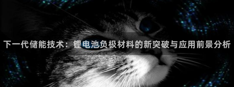 okpay钱包客服怎么联系：下一代储能技术：锂电池负极材料的新突破与应用前景分析