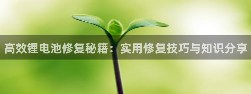 okpay支付钱包下载：高效锂电池修复秘籍：实用修复技巧与知识分享