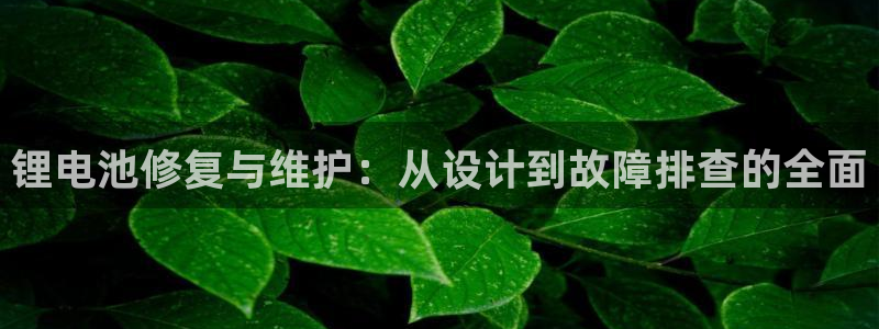 okpay钱包手机版最新版：锂电池修复与维护：从设计到故障排查的全面