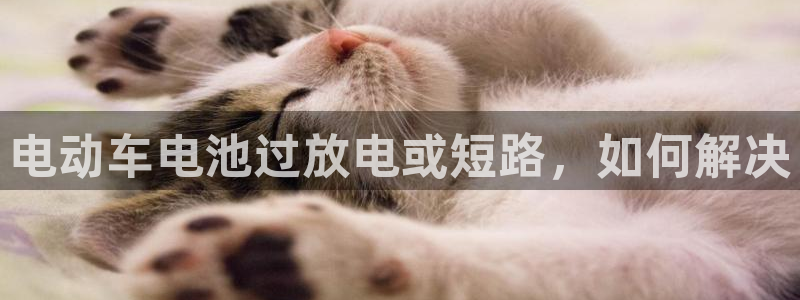 okpay钱包软件下载