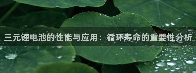 okpay钱包官网版v6.0.21