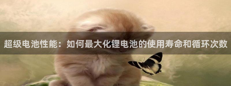 okpay钱包怎么充值：超级电池性能：如何最大化锂电池的使用寿命和循环次数