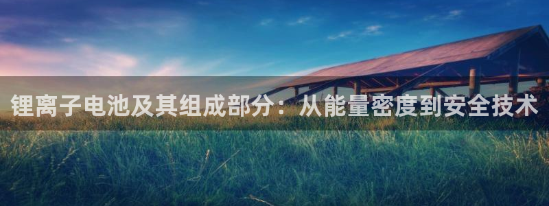 okpay钱包最新版安卓版：锂离子电池及其组成部分：从能量密度到安全技术