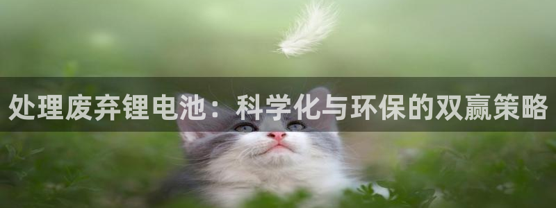 okpay钱包下载安卓版