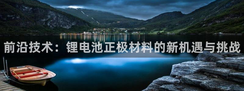 okpay钱包网页版：前沿技术：锂电池正极材料的新机遇与挑战