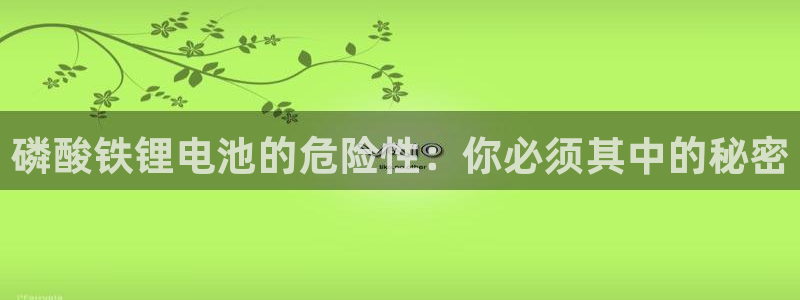okpay钱包软件下载：磷酸铁锂电池的危险性：你必须其中的秘密