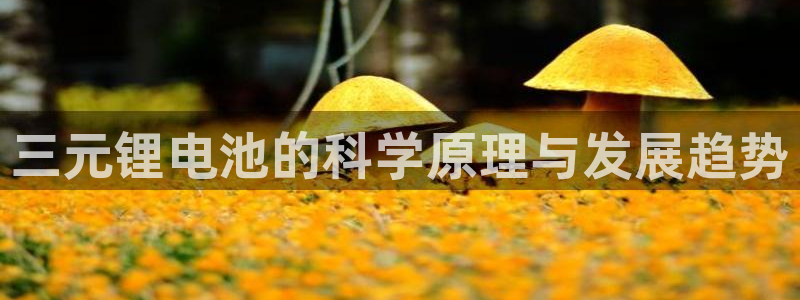 okpay钱包数字货币：三元锂电池的科学原理与发展趋势
