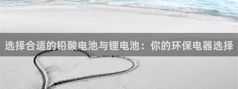 okpay777钱包最新版本：选择合适的铅酸电池与锂电池：你的环保电器选择