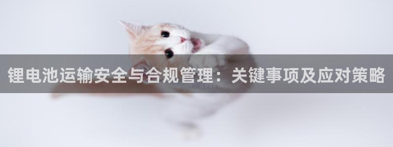okpay钱包苹果版：锂电池运输安全与合规管理：关键事项及应对策略