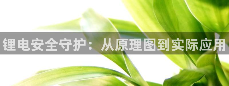 okpay钱包苹果：锂电安全守护：从原理图到实际应用