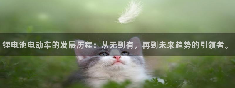 okpay钱包安卓版下载：锂电池电动车的发展历程：从无到有，再到未来趋势的引领者。