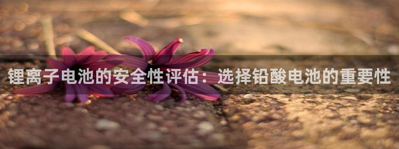 okpay钱包提现方法：锂离子电池的安全性评估：选择铅酸电池的重要性