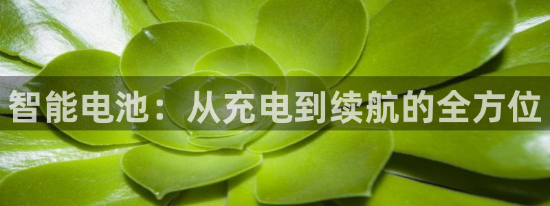 okpay钱包买币全过程：智能电池：从充电到续航的全方位