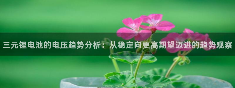 okpay777钱包最新版本：三元锂电池的电压趋势分析：从稳定向更高期望迈进的趋势观察