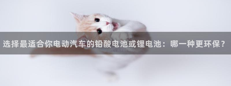 okpay钱包手机版最新版：选择最适合你电动汽车的铅酸电池或锂电池：哪一种更环保？