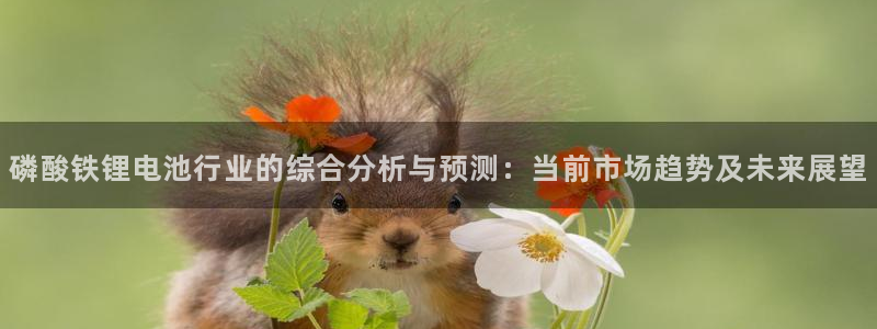 okpay钱包合法吗：磷酸铁锂电池行业的