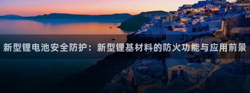 gopay及okpay钱包：新型锂电池安
