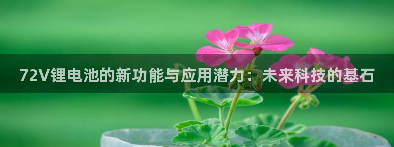 okpay钱包买币全过程：72V锂电池的新功能与应用潜力：未来科技的基石
