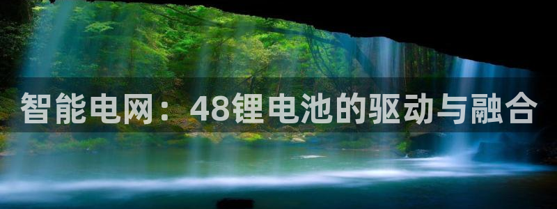 okpay钱包下载官网：智能电网：48锂